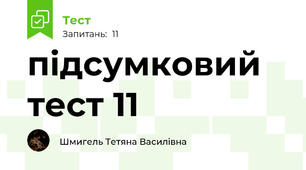 підсумковий тест 11