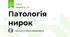 Патологія нирок