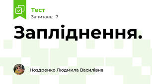 Запліднення.
