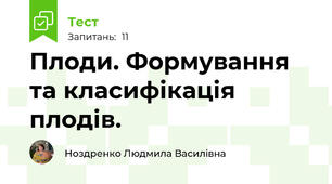 Плоди. Формування та класифікація плодів.