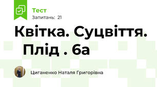 Квітка. Суцвіття.   Плід . 6а