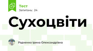 Сухоцвіти