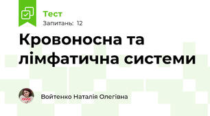 Кровоносна та лімфатична системи