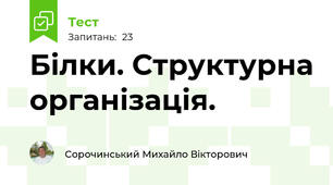 Білки. Структурна організація.