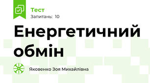 Енергетичний обмін
