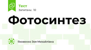 Фотосинтез