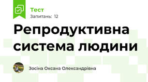 Репродуктивна система людини