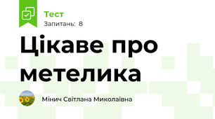 Цікаве про метелика