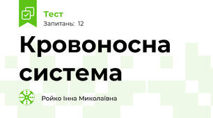 Кровоносна система 