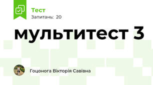 мультитест 3