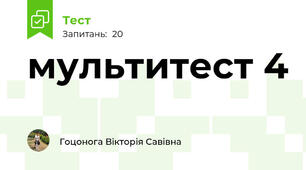 мультитест 4