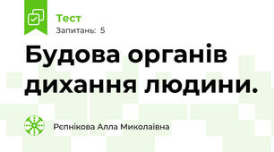 Будова органів дихання людини.