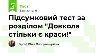 Підсумковий тест за розділом "Довкола стільки є краси!" 