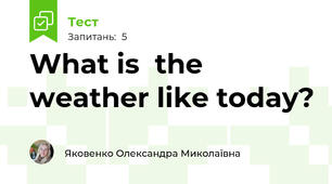 What is  the weather like today?