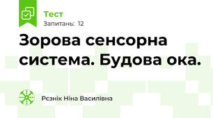 Зорова сенсорна система. Будова ока.