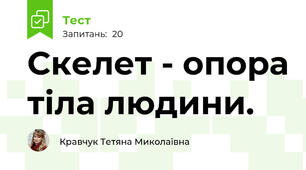 Скелет - опора тіла людини.