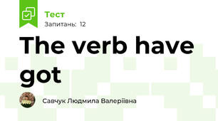 The verb have got 