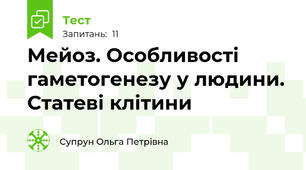 Мейоз. Особливості гаметогенезу у людини. Статеві клітини