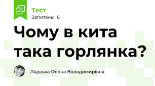 Чому в кита така горлянка?