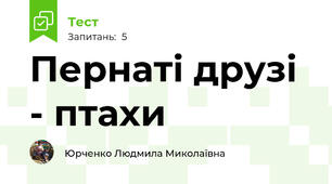 Пернаті друзі - птахи