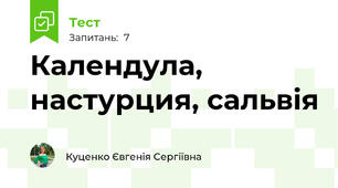 Календула, настурция, сальвія