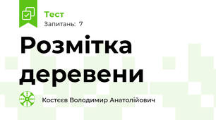 Розмітка деревени