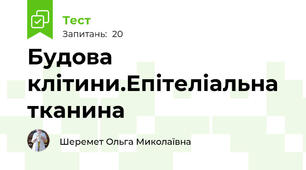 Будова клітини.Епітеліальна тканина