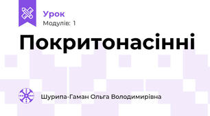 Покритонасінні