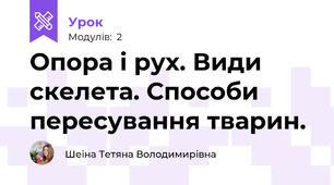 Опора і рух. Види скелета. Способи пересування тварин.