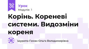 Корінь. Кореневі системи. Видозміни кореня