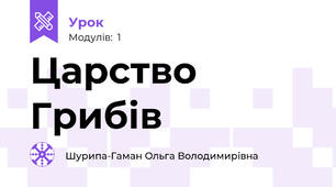 Царство Грибів