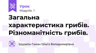 Загальна характеристика грибів. Різноманітність грибів.