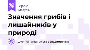 Значення грибів і лишайників у природі