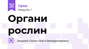 Органи рослин