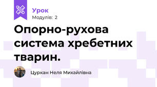 Опорно-рухова система хребетних тварин. 