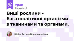 Вищі рослини - багатоклітинні організми з тканинами та органами.