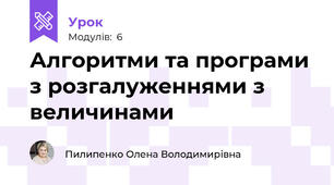 Алгоритми та програми з розгалуженнями з величинами
