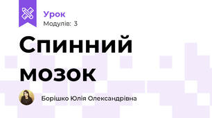 Спинний мозок