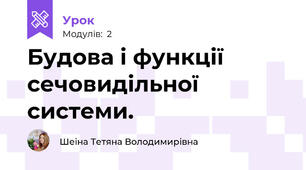 Будова і функції сечовидільної системи.
