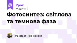 Фотосинтез: світлова та темнова фаза