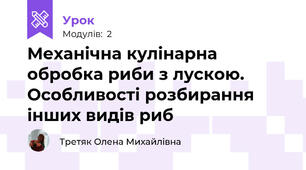 Механічна кулінарна обробка риби з лускою. Особливості розбирання інших видів риб