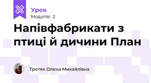 Напівфабрикати з птиці й дичини План