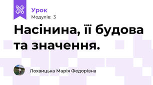 Насінина, її будова та значення.