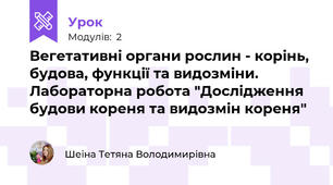 Вегетативні органи рослин - корінь, будова, функції та видозміни. Лабораторна робота "Дослідження будови кореня та видозмін кореня"