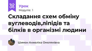 Складання схем обміну вуглеводів,ліпідів та білків в організмі людини