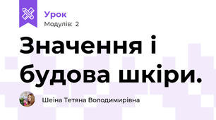 Значення і будова шкіри.