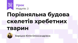 Порівняльна будова скелетів хребетних тварин