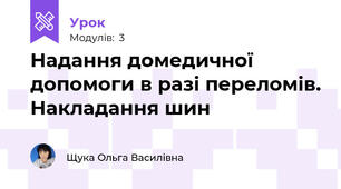 Надання домедичної допомоги в разі переломів. Накладання шин