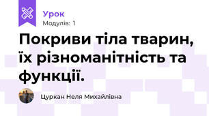 Покриви тiла тварин, їх рiзноманiтнiсть та функцiї.