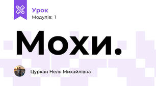 Мохи.